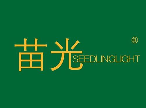 苗光 SEEDLINGLIGHT