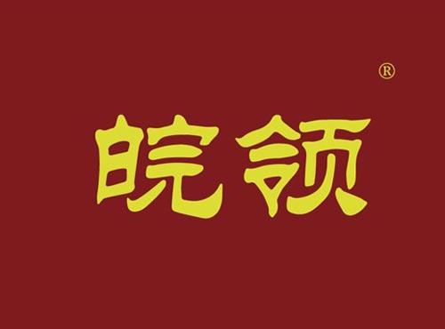 皖领