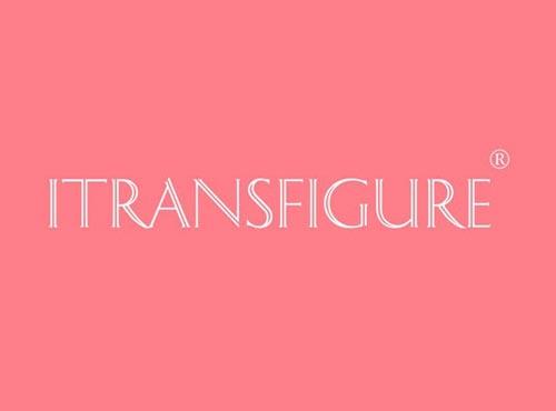 ITRANSFIGURE