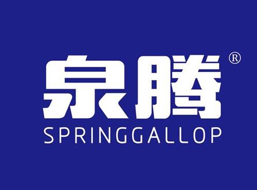 泉腾 SPRINGGALLOP