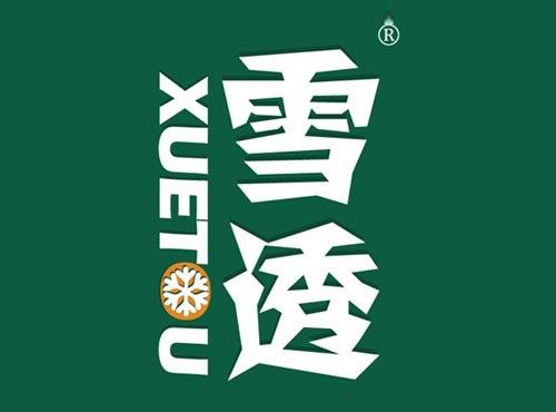 雪透