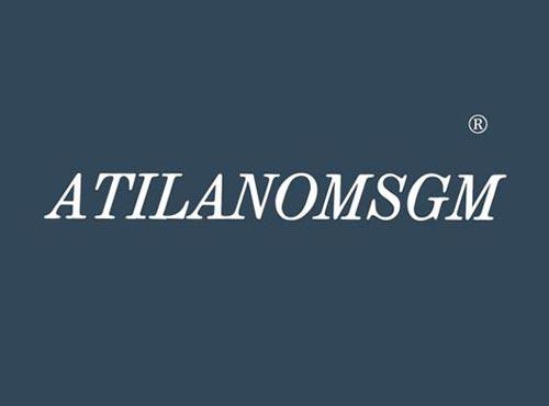 ATILANOMSGM