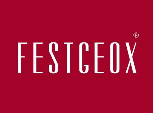 FESTGEOX