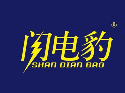 闪电豹
