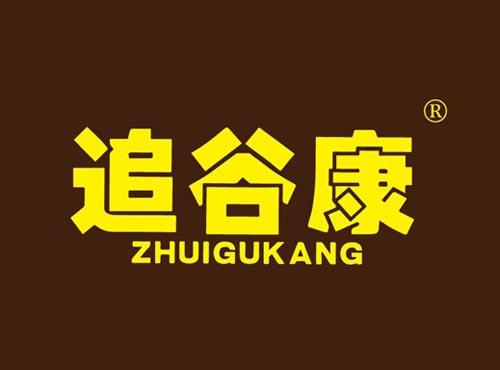 追谷康