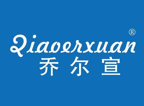 乔尔宣