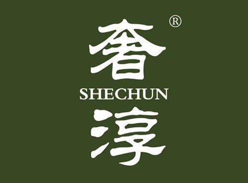 奢淳