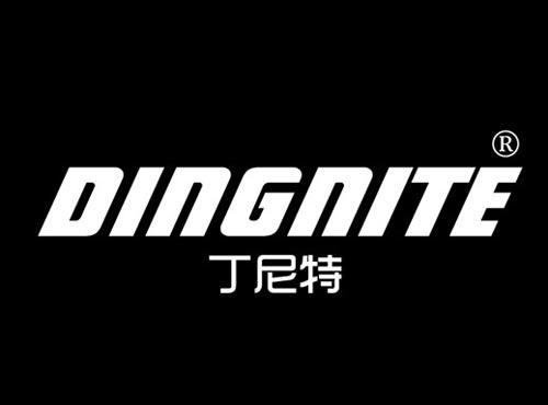 丁尼特