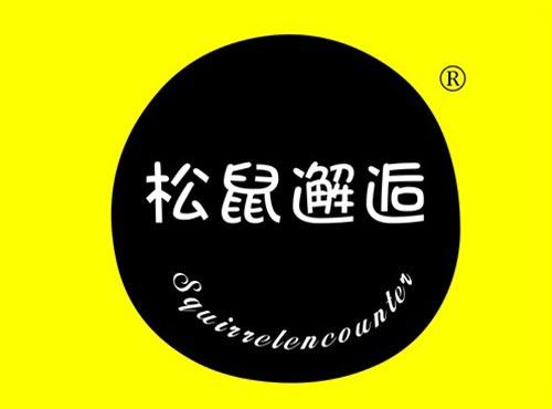松鼠邂逅 SQUIRRELENCOUNTER