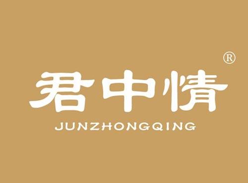 君中情