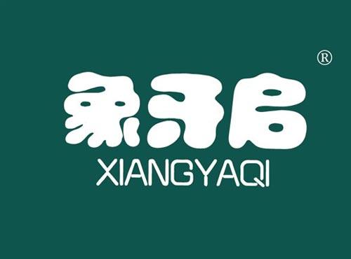 象牙启