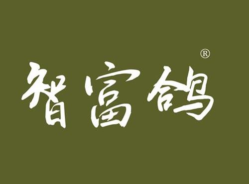智富鸽