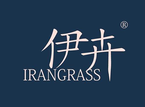 伊卉 IRANGRASS