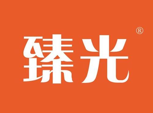 臻光