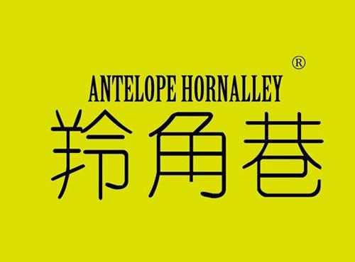 羚角巷 ANTELOPE HORNALLEY