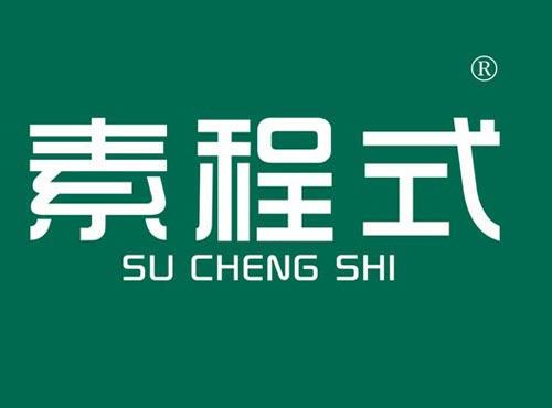 素程式