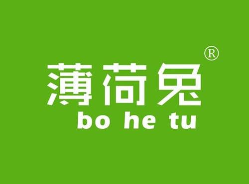 薄荷兔