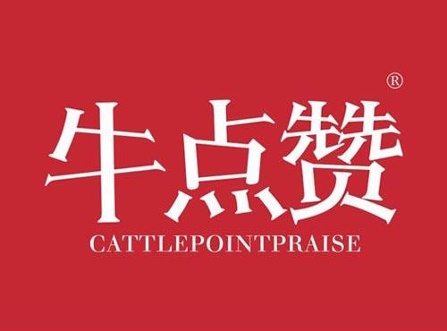 牛点赞 CATTLEPOINTPRAISE