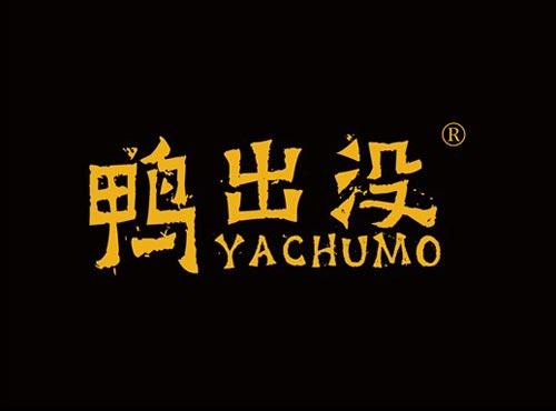 鸭出没