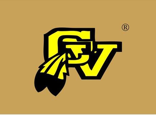 CV
