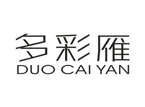 多彩雁