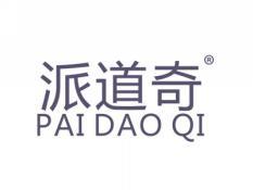 派道奇PAIDAOQI