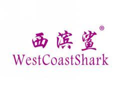 西滨鲨WESTCOASTSHARK