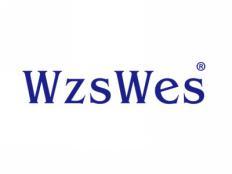 WZSWES