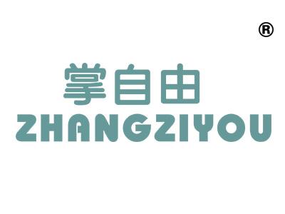 掌自由