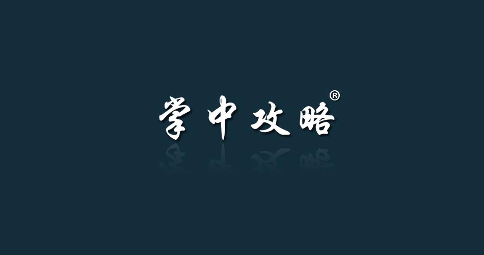 掌中攻略