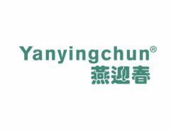 燕迎春YANYINGCHUN