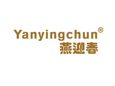 燕迎春YANYINGCHUN
