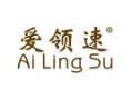 爱领速AILINGSU