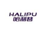 哈利普