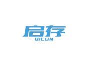 启存