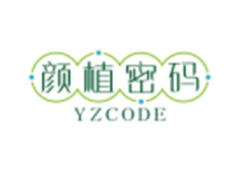 颜植密码YZCODE