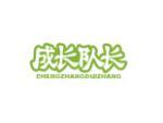 成长队长