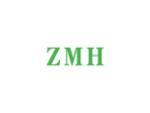 ZMH