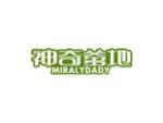 神奇爹地 MIRALYDADY