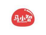 马小智