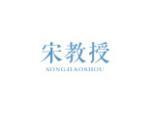 宋教授