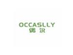 偶尔 OCCASLLY