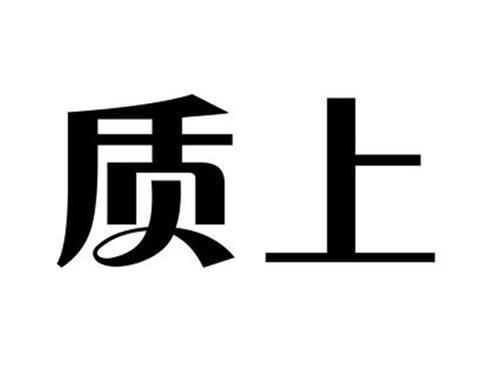 质上