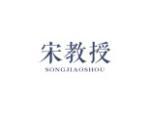 宋教授