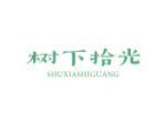 树下拾光