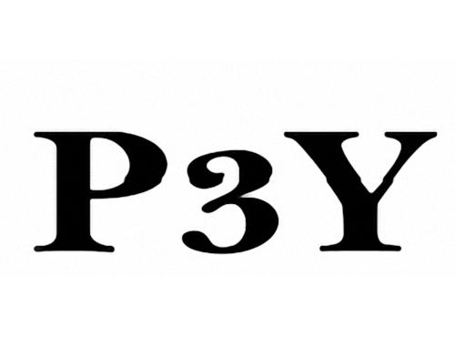 p3y