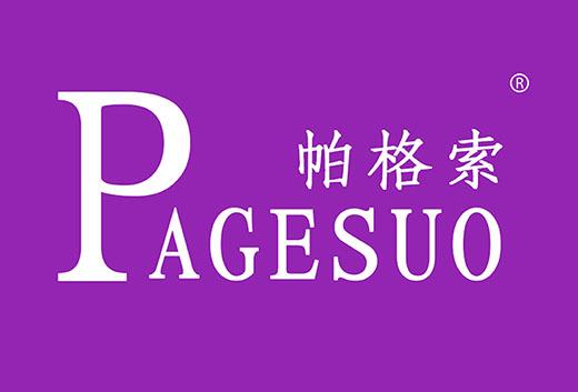 帕格索