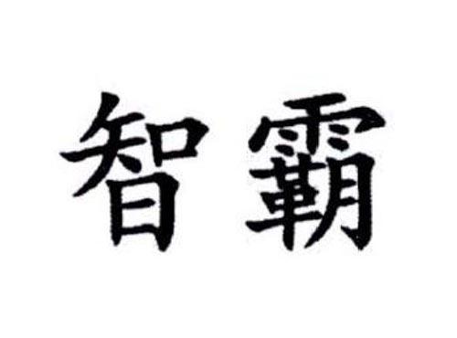 智霸