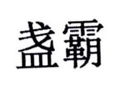盏霸