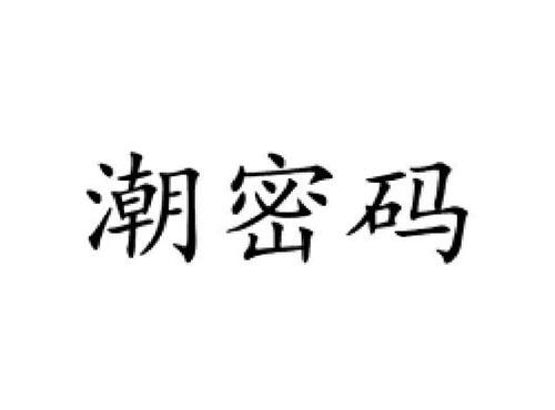 潮密码